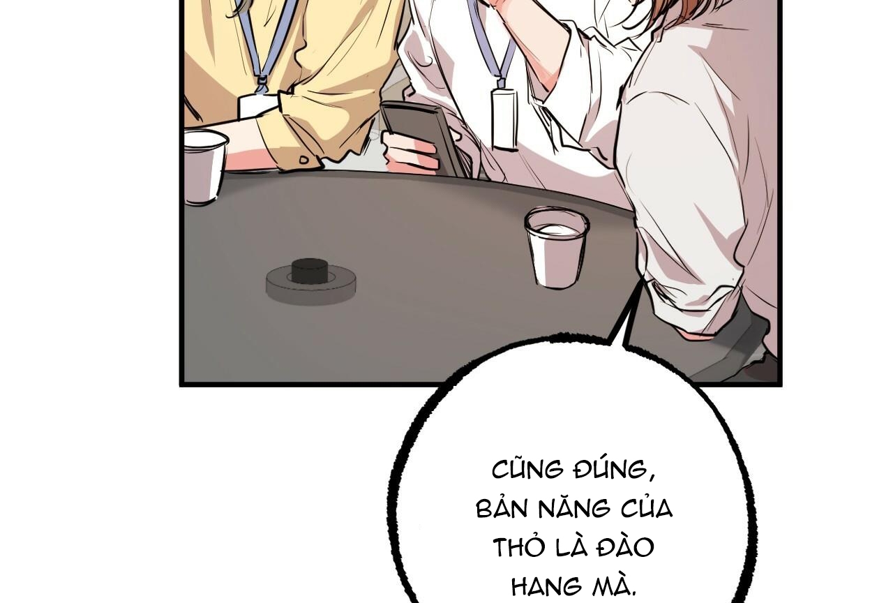 Đàn Thỏ Của Habibi Chapter 28 - Trang 61