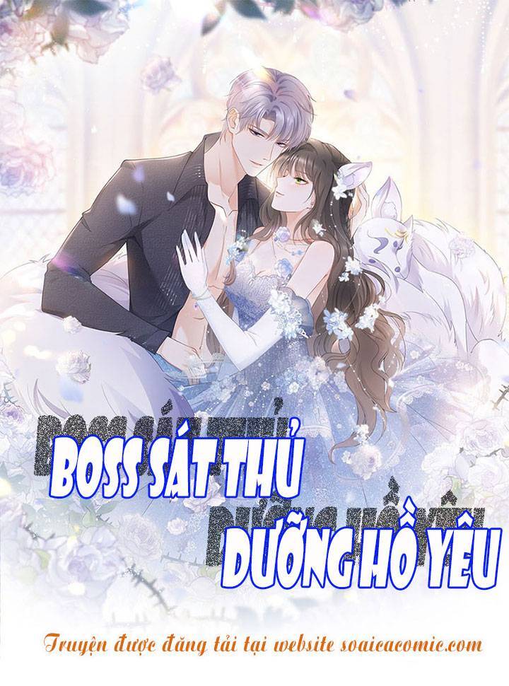 Boss Sát Thủ Dưỡng Hồ Yêu Chapter 48 - Trang 1