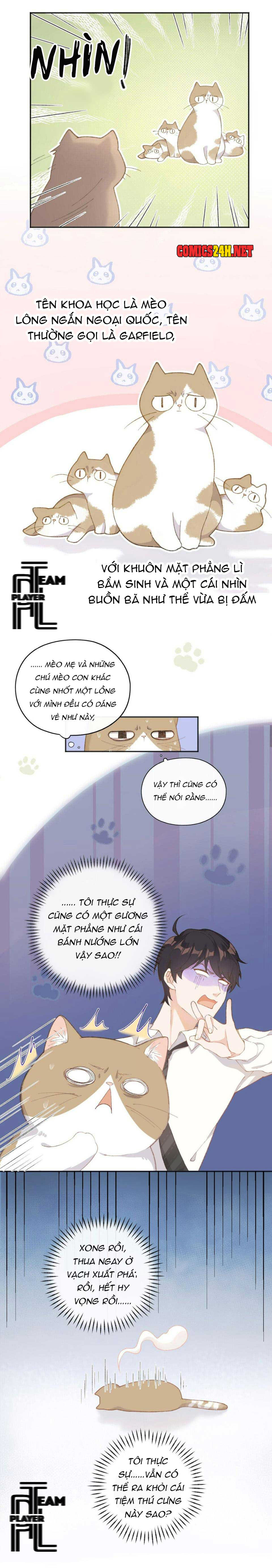 Nhật Ký Phục Thù Của Mèo Garfield Chapter 1 - Trang 13
