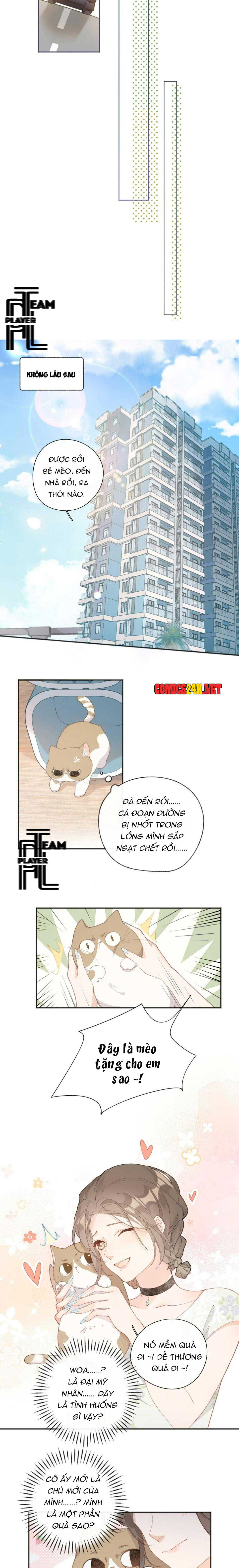 Nhật Ký Phục Thù Của Mèo Garfield Chapter 1 - Trang 17