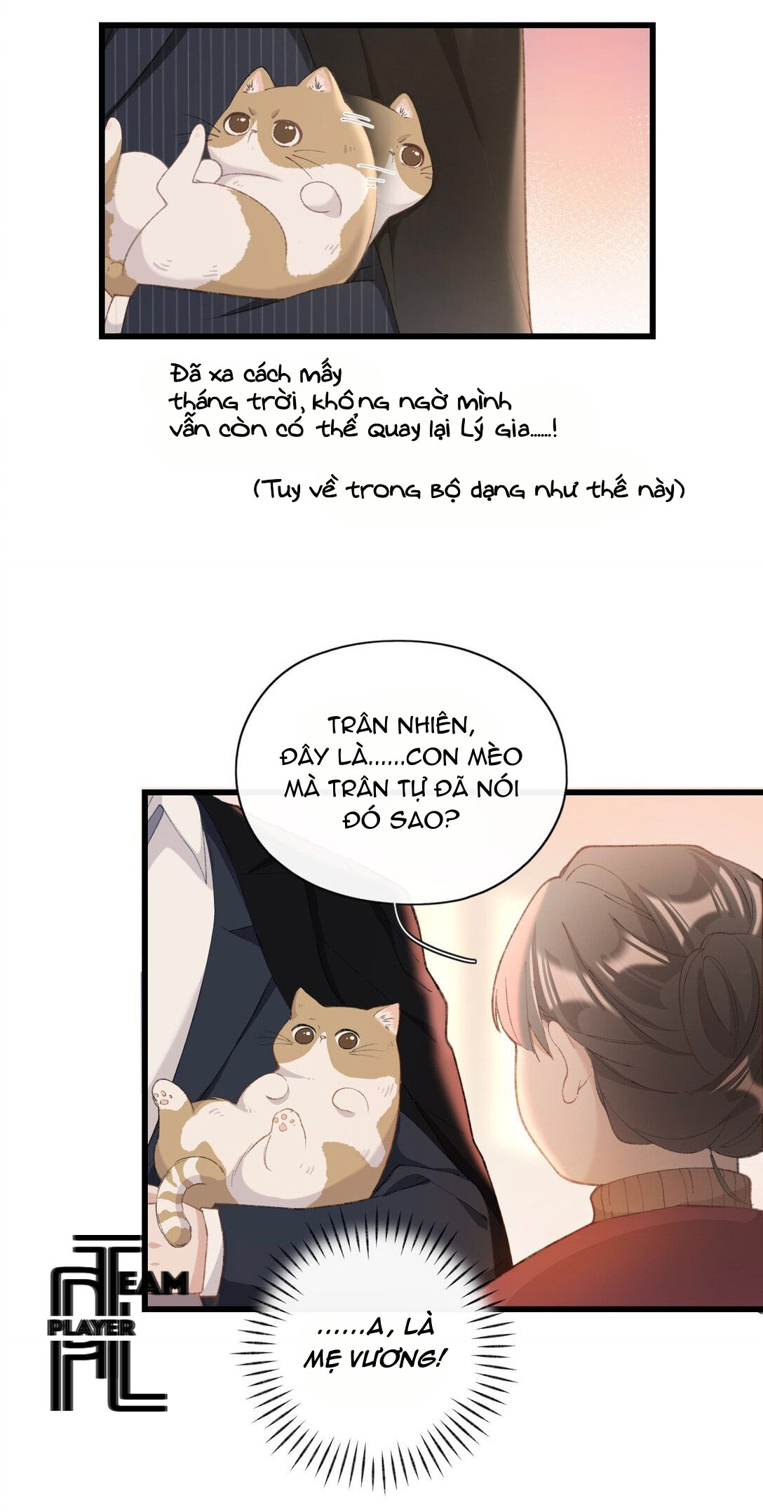 Nhật Ký Phục Thù Của Mèo Garfield Chapter 4 - Trang 5