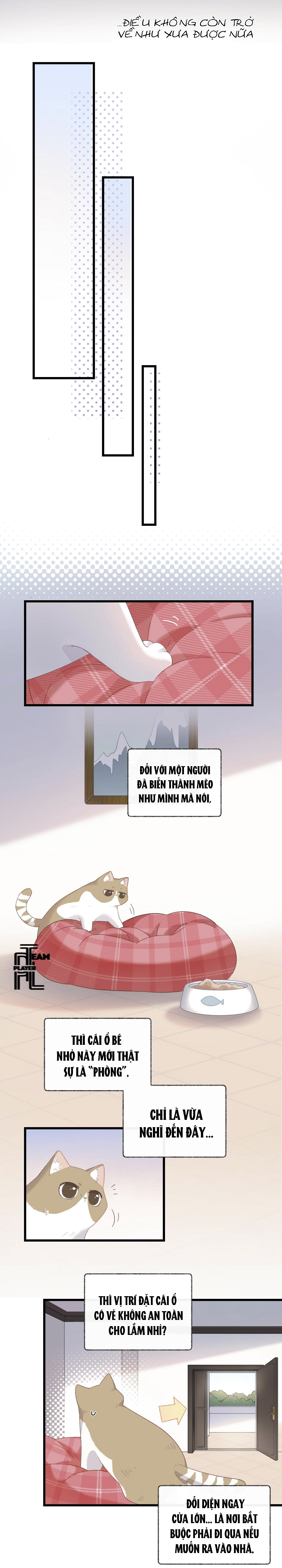 Nhật Ký Phục Thù Của Mèo Garfield Chapter 8 - Trang 5