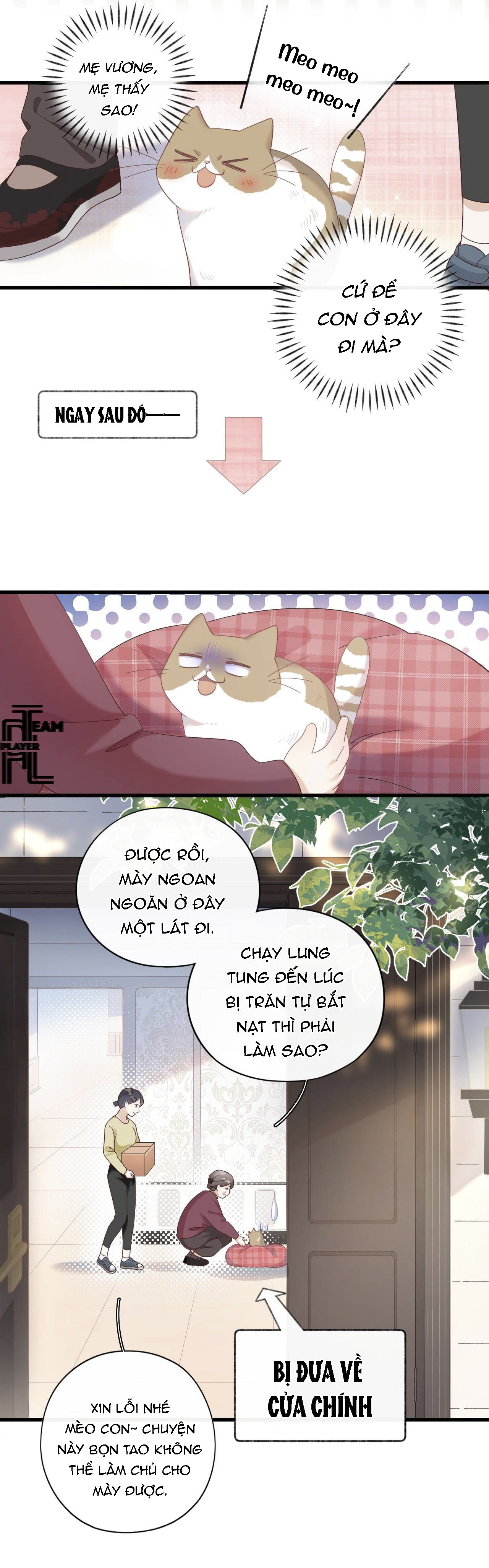 Nhật Ký Phục Thù Của Mèo Garfield Chapter 8 - Trang 10