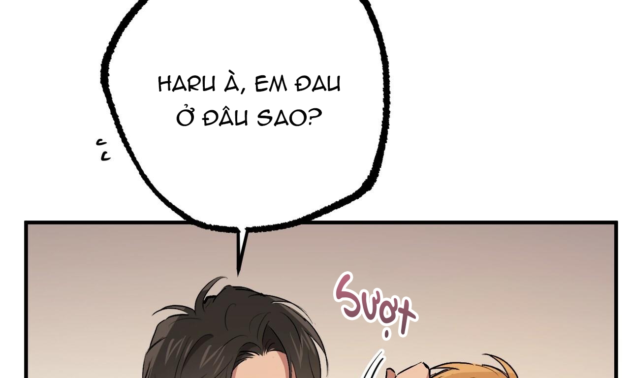 Đàn Thỏ Của Habibi Chapter 42 - Trang 196