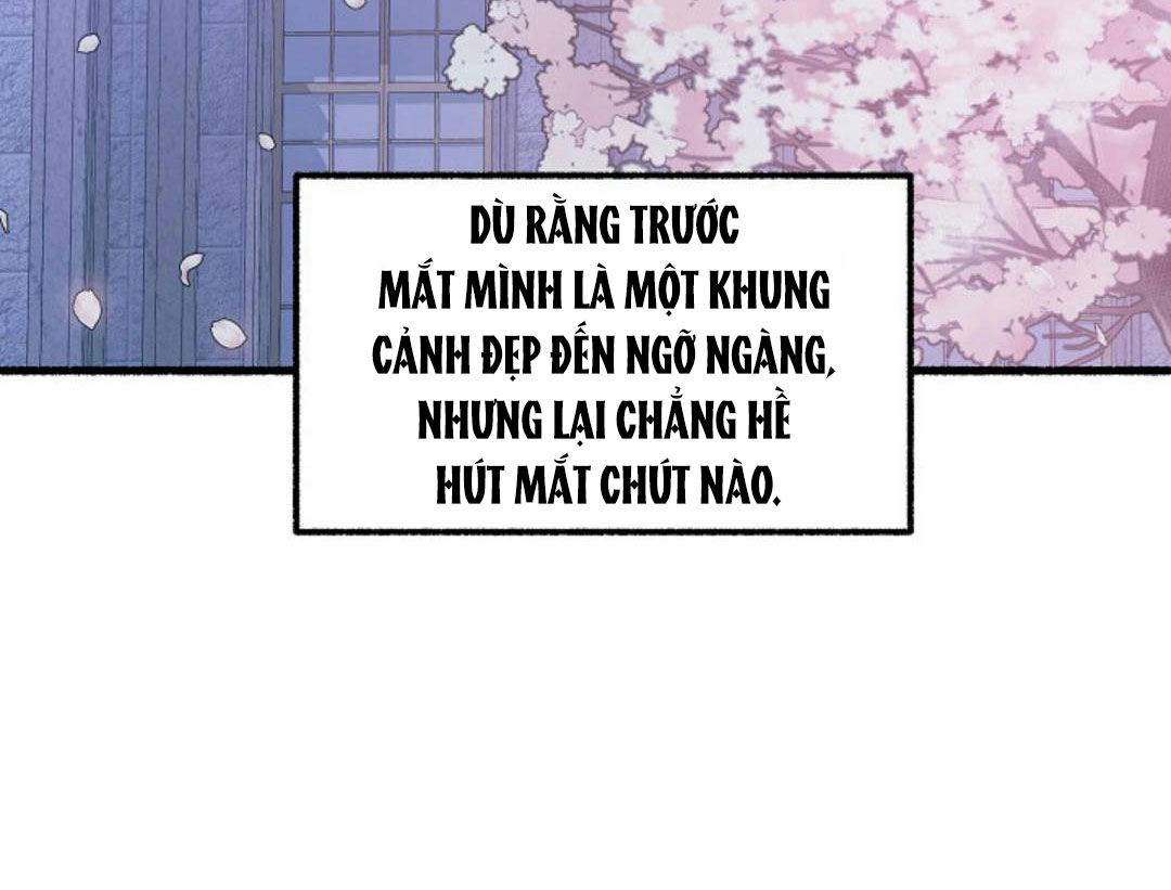 Hoa Triều Chapter 16 - Trang 21