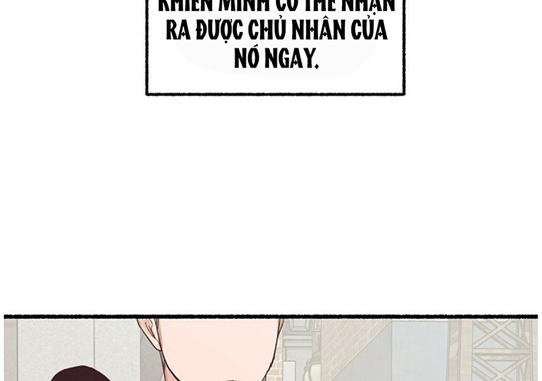 Hoa Triều Chapter 18 - Trang 27