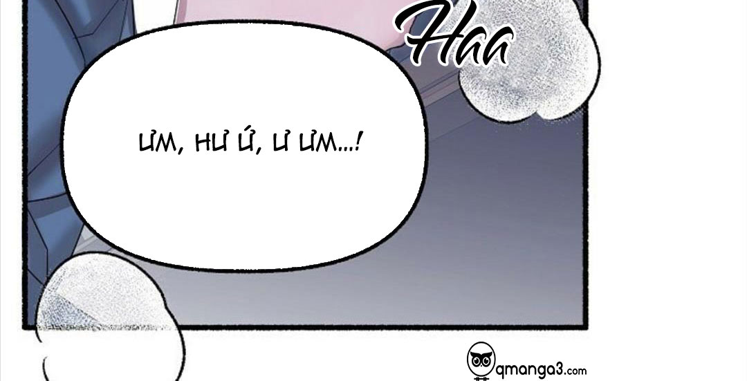 Hoa Triều Chapter 22 - Trang 28