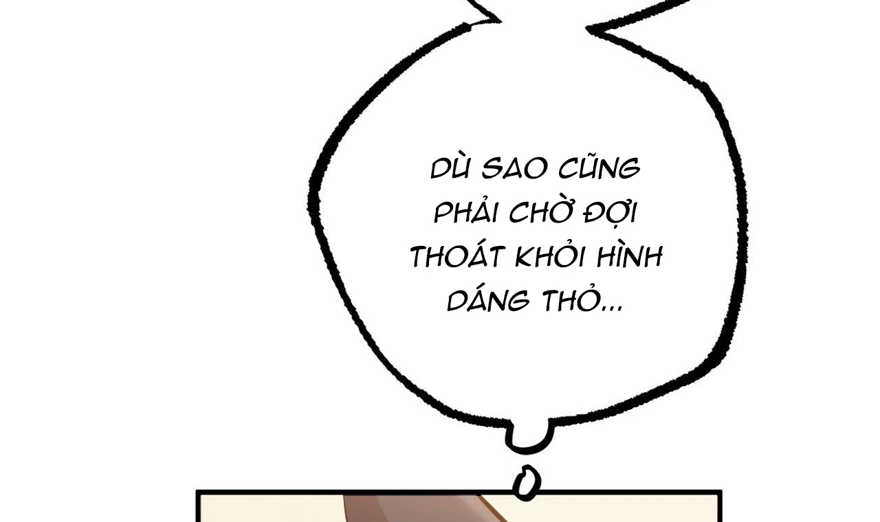 Đàn Thỏ Của Habibi Chapter 49 - Trang 47