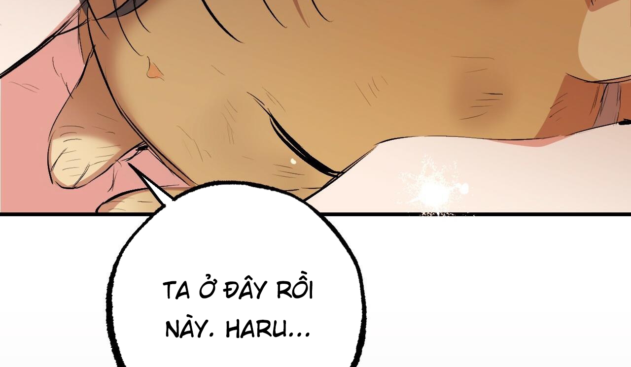 Đàn Thỏ Của Habibi Chapter 50 - Trang 245