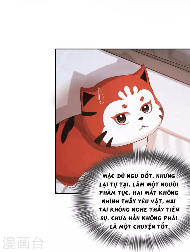 Ta Vốn Là Mèo Chapter 2 - Trang 33