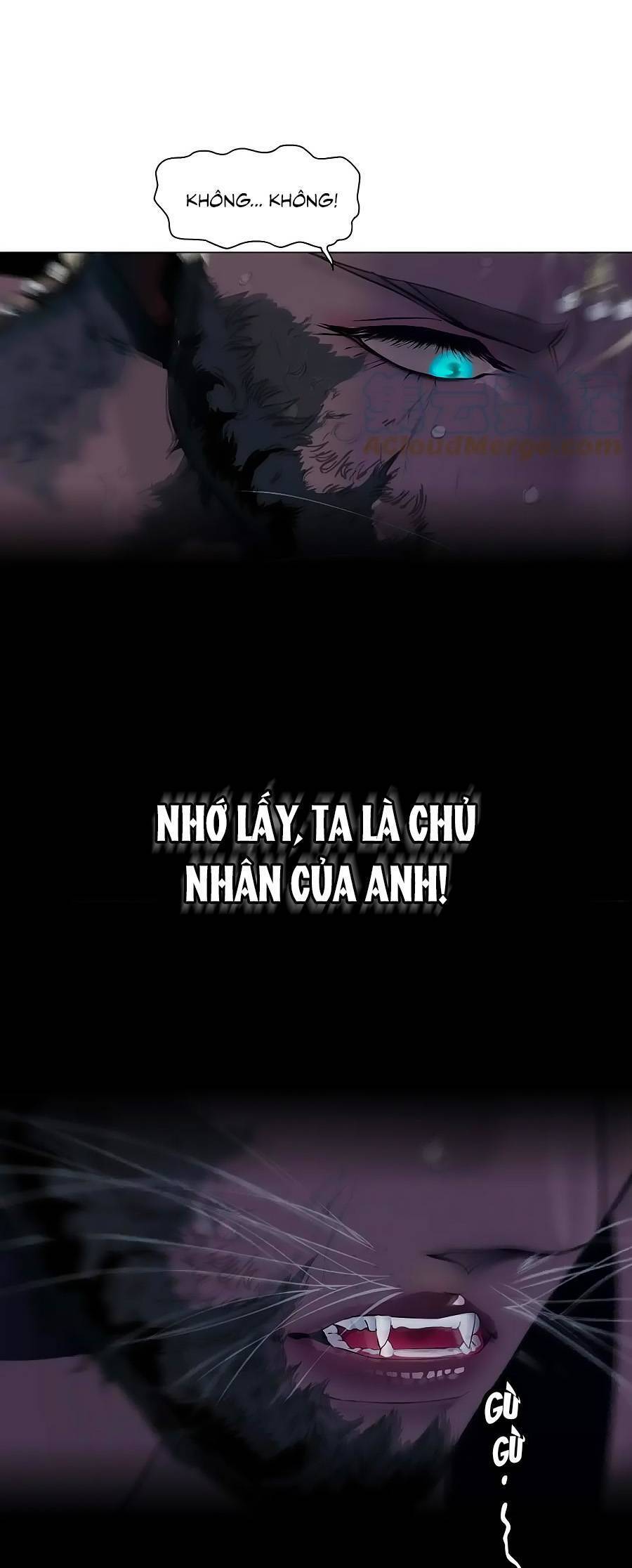 Đằng Nữ Chapter 168 - Trang 14