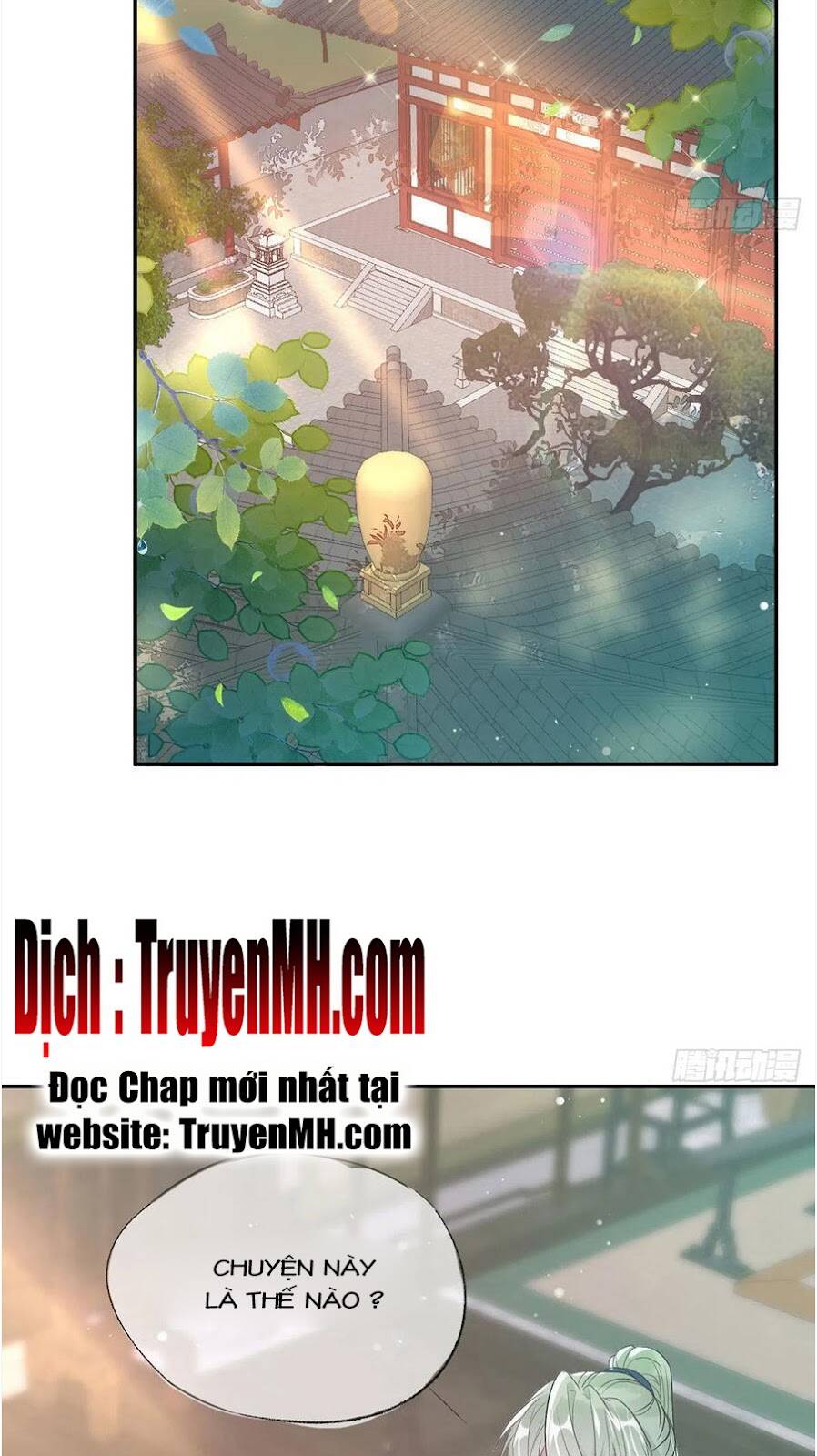 Kiều Mỵ Phu Lang, Tại Tuyến Lục Trà Chapter 95 - Trang 17