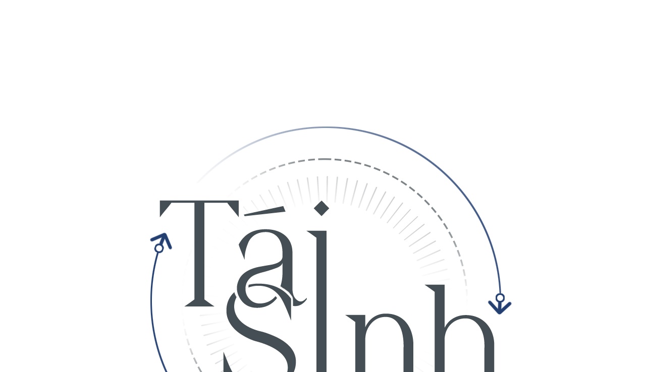 Tái Sinh Chapter 53 - Trang 271