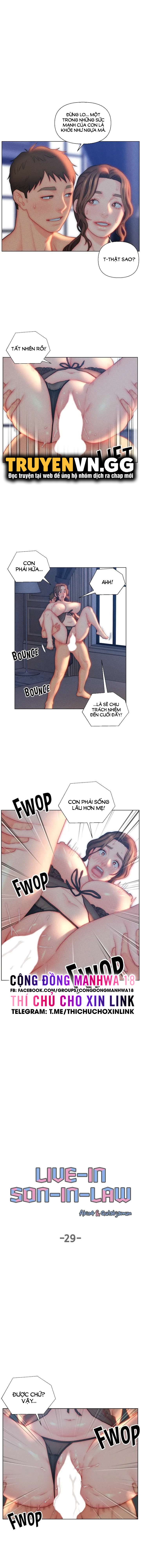 Con Rể Yêu Chapter 29 - Trang 1